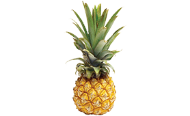 Pineapple Baby